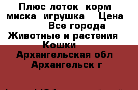 Плюс лоток, корм, миска, игрушка. › Цена ­ 50 - Все города Животные и растения » Кошки   . Архангельская обл.,Архангельск г.